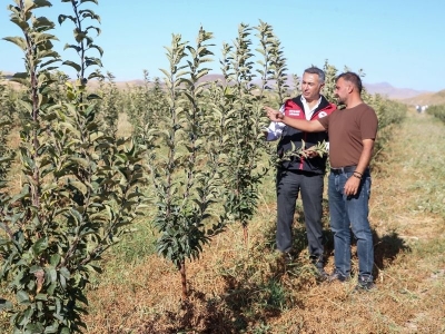 Toprağa milyonluk bereket