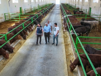 Kırsal kalkınma destekleri Van’a modern tesis kazandırdı