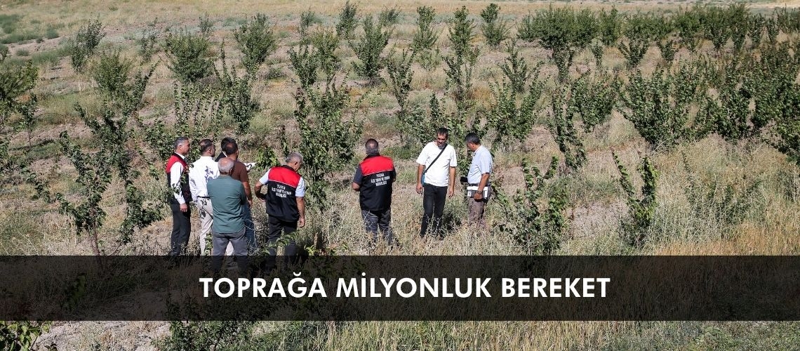 Toprağa milyonluk bereket