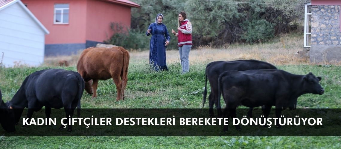 Kadın çiftçiler destekleri berekete dönüştürüyor