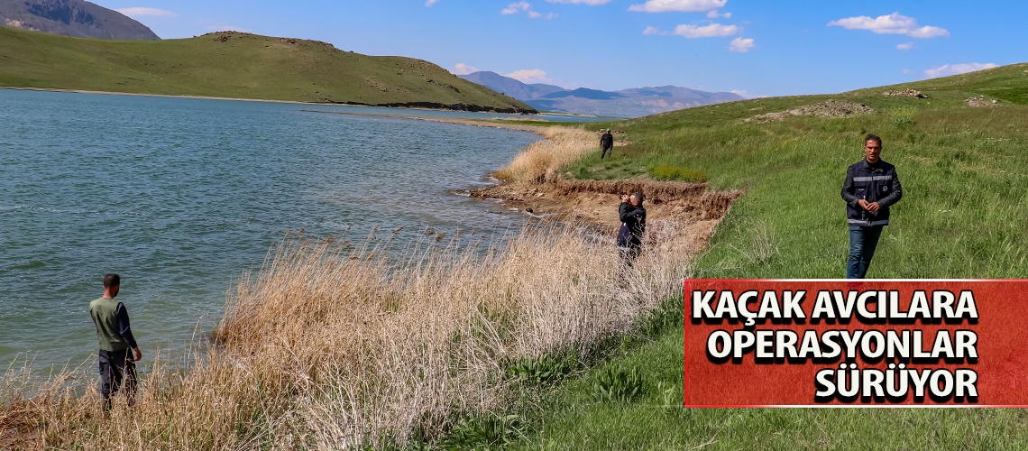 Kaçak avcılara operasyonlar sürüyor