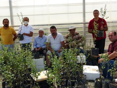 Van’ın yerel meyveleri korunuyor