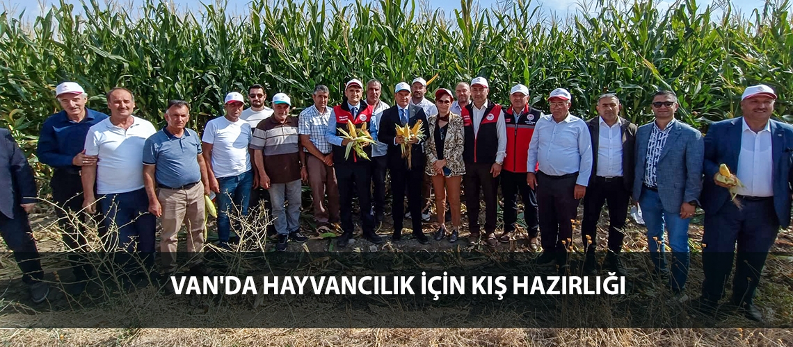 Van'da hayvancılık için kış hazırlığı