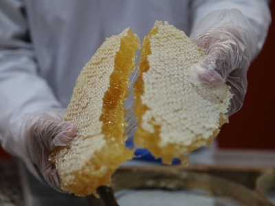 Vanlı arıcı Dubai'ye 16,5 ton bal ihraç etti