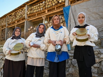Devlet desteği alan Vanlı kadınlar arıcılığa başladı