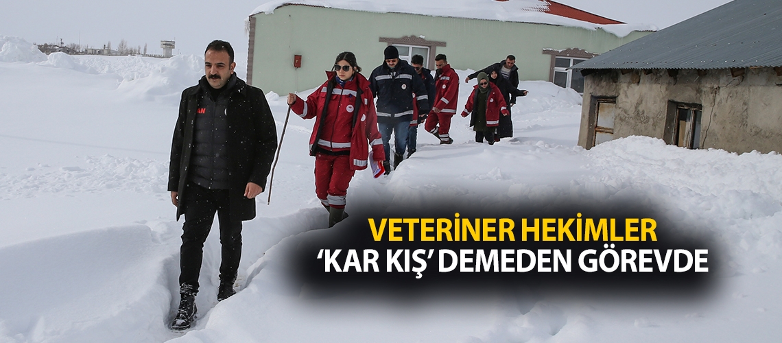 Veteriner hekimler ‘kar kış’ demeden görevde