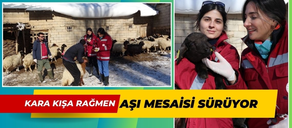 Kara kışa rağmen aşı mesaisi sürüyor
