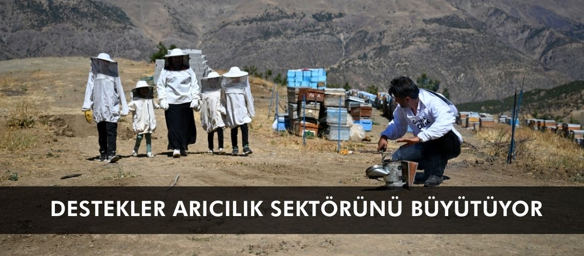Destekler arıcılık sektörünü büyütüyor