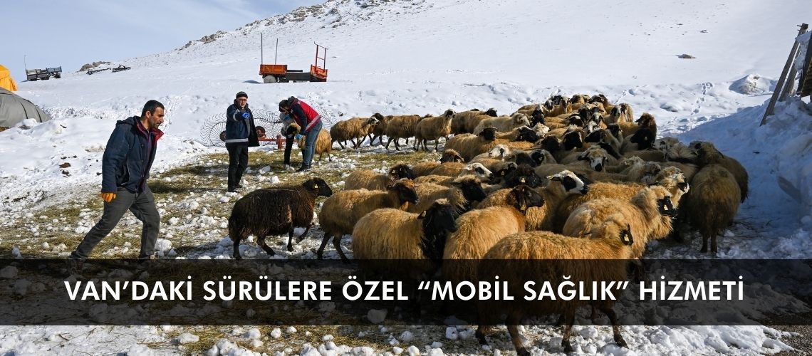 Van’daki sürülere özel “mobil sağlık” hizmeti