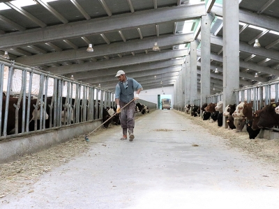 Zarar eden tesis hisse devriyle kâra geçti