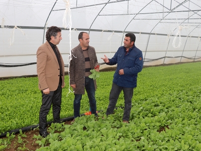 C Van  30 bin TL hibe aldı hayatı değişti