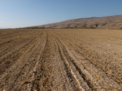 Van Tarıma Dayalı İhtisas OSB 2022’de