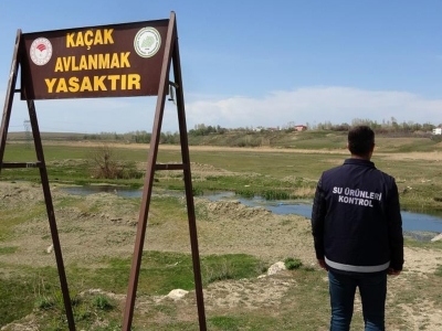 Av yasağına uymayanlara ceza yağdı