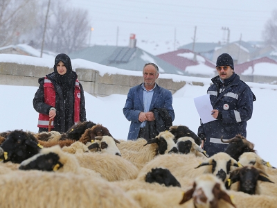 Veteriner hekimler ‘kar kış’ demeden görevde