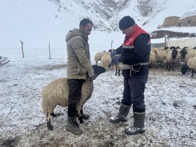 Karlı yolları aşıp sağlık hizmeti götürüyorlar
