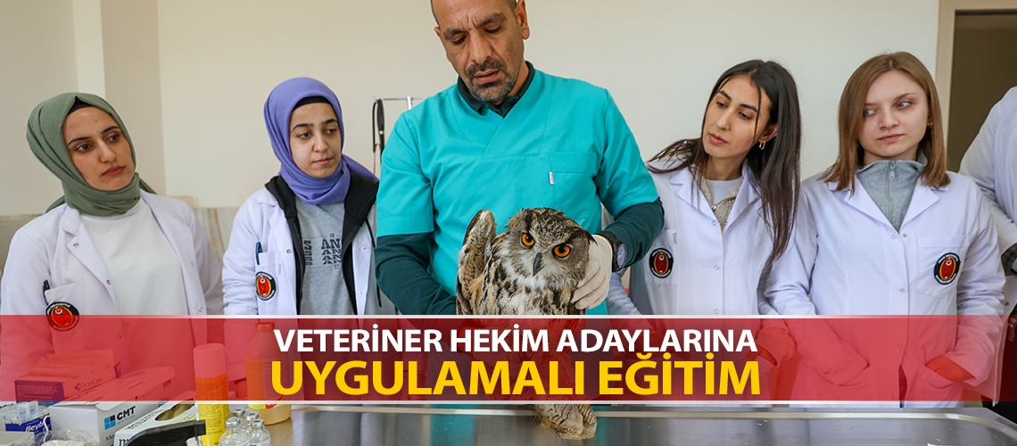 Veteriner hekim adaylarına uygulamalı eğitim