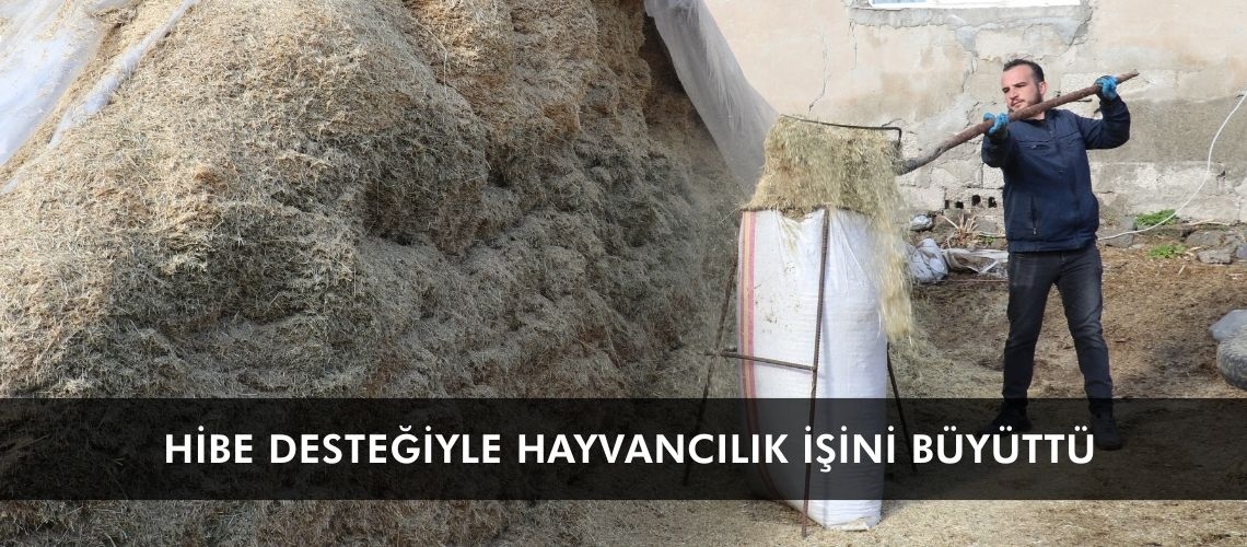 Hibe desteğiyle hayvancılık işini büyüttü