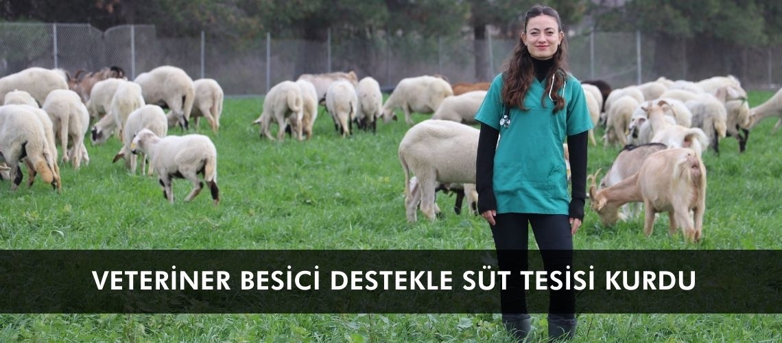 Veteriner besici destekle süt tesisi kurdu