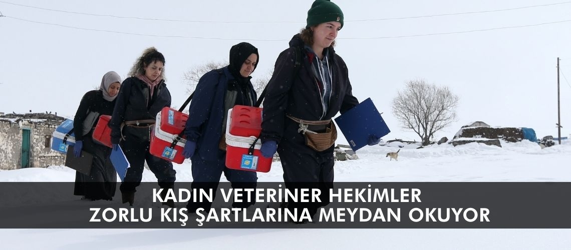 Kadın veteriner hekimler zorlu kış şartlarına meydan okuyor