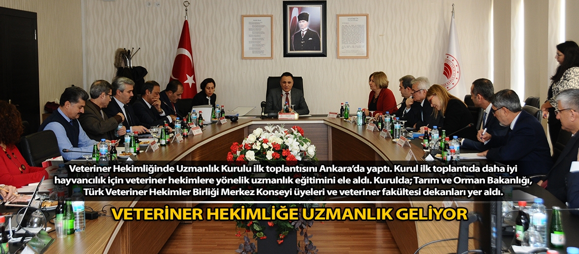 Veteriner hekimliğe uzmanlık geliyor