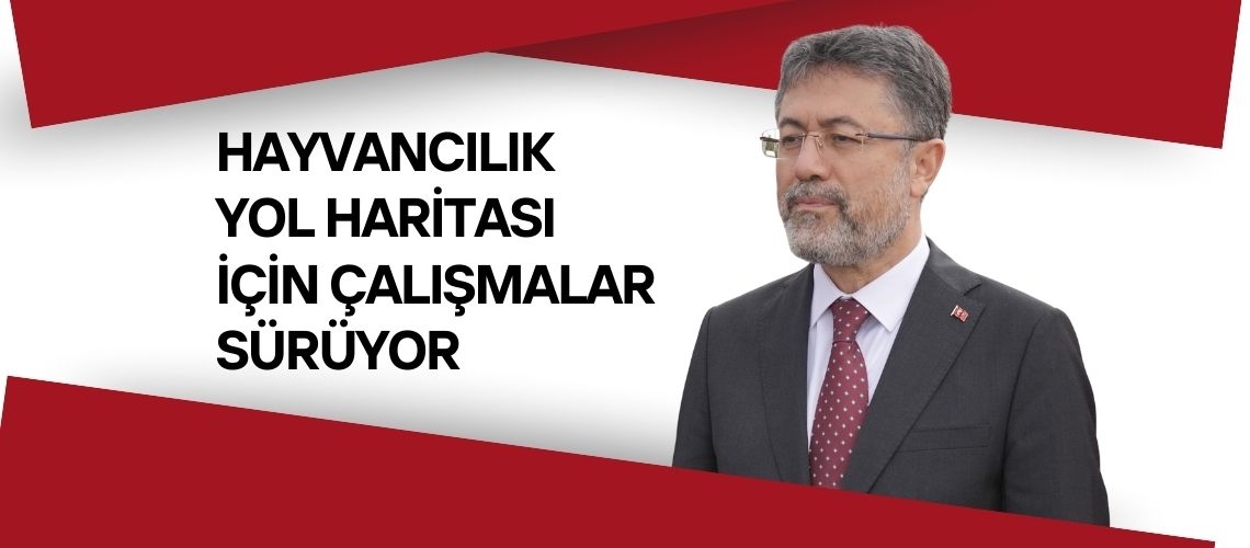 Hayvancılık yol haritası için çalışmalar sürüyor