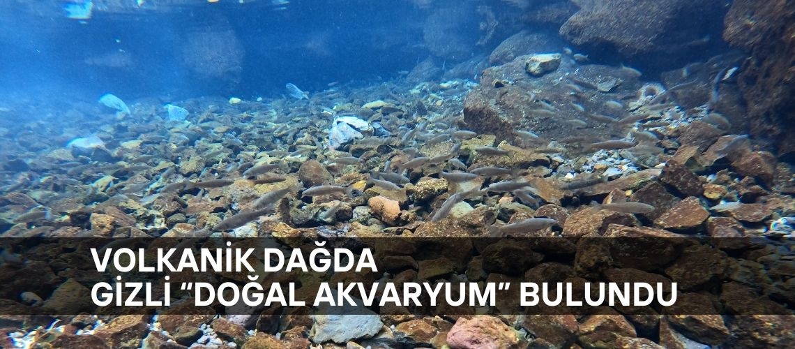 Volkanik dağda gizli “doğal akvaryum” bulundu