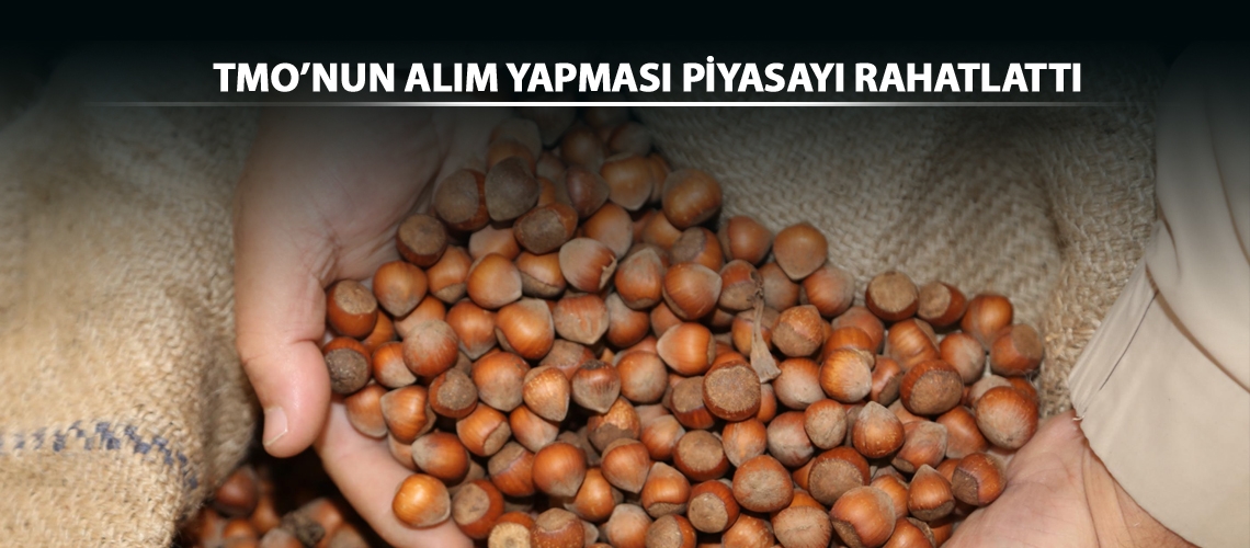 Üretici fındık fiyatlarından memnun