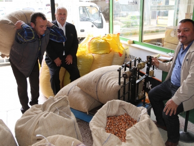 Üretici fındık fiyatlarından memnun