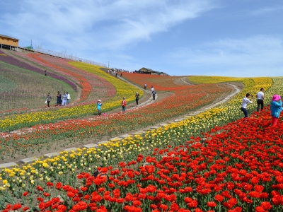 Tanrı Dağı eteklerinde, İpek Yolu’nun izinde