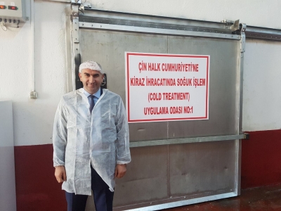 Türk kirazı ilk kez Çin’e ihraç ediliyor