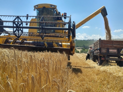 Tarımsal yenilikler yaygınlaştırılıyor