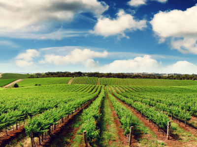 Destekler sayesinde ihracata başlandı