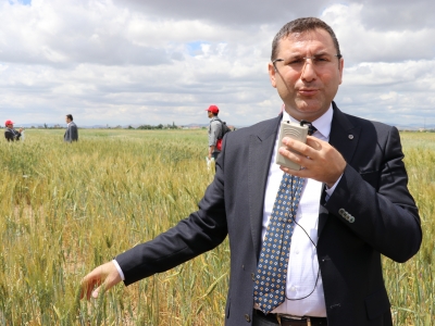 ‘Yerel Buğday Tarla Günü’