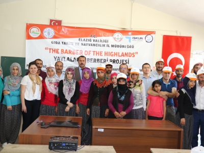 Koyun kırkım makineleri çiftçinin hizmetinde