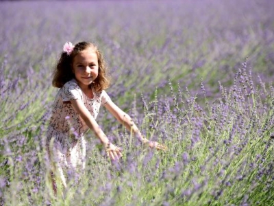 Akseki'de lavanta dikildi