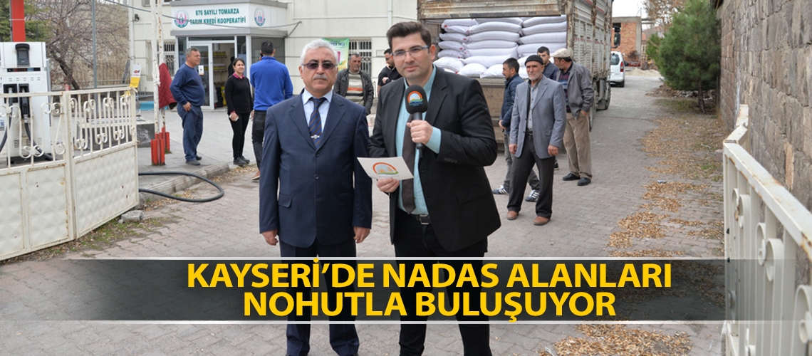 Kayseri’de nadas alanları nohutla buluşuyor