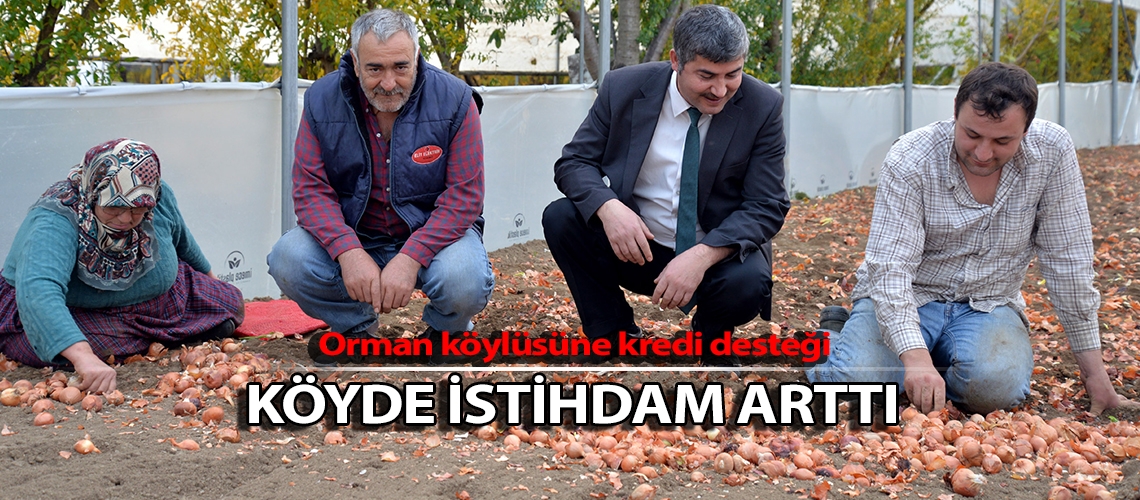 Orman köylüsüne kredi desteği