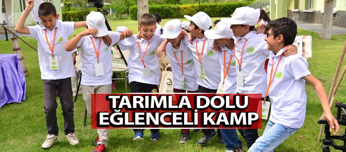 Tarımla dolu eğlenceli kamp