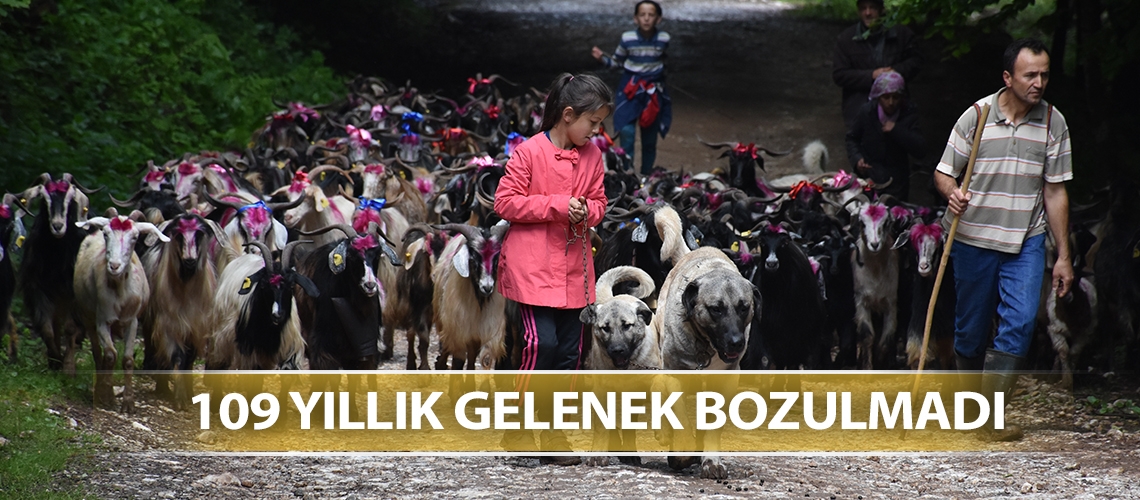 Sakaryalı göçerler yayla yolculuğuna başladı