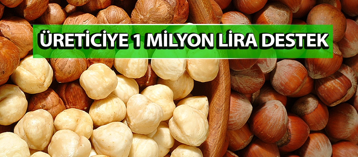 Giresunlu fındık üreticisine 1 milyon lira destek