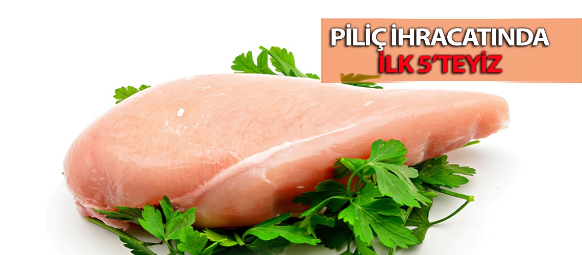 İhracatta piliç artışı