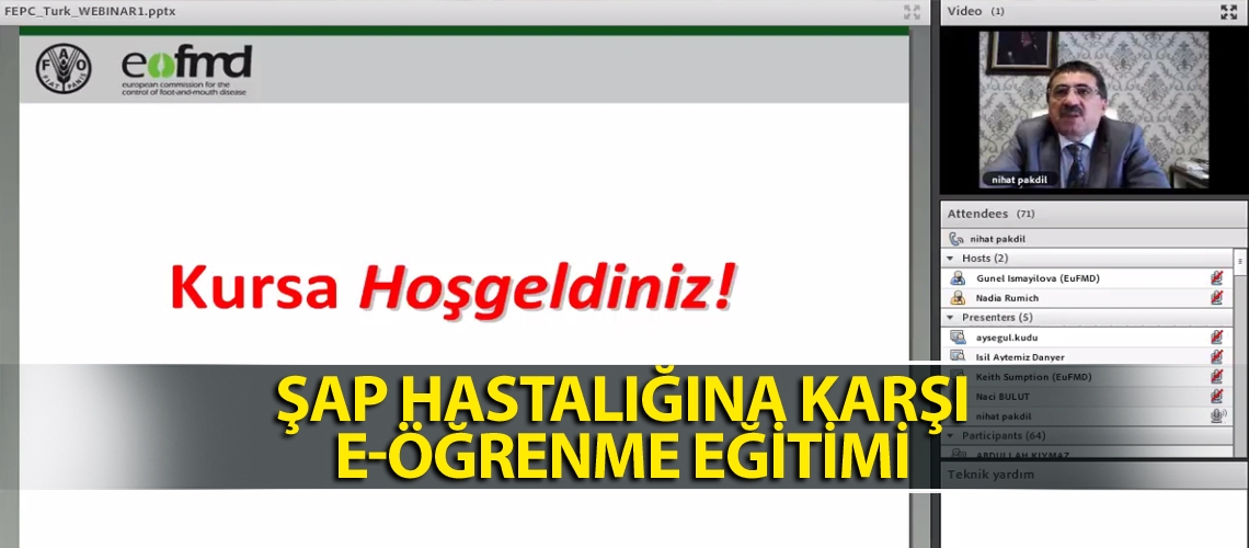 Veteriner hekimlere çevrimiçi kurs