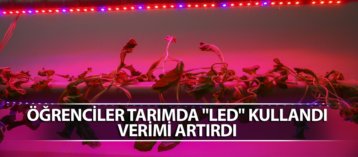 Tarımda led uygulaması