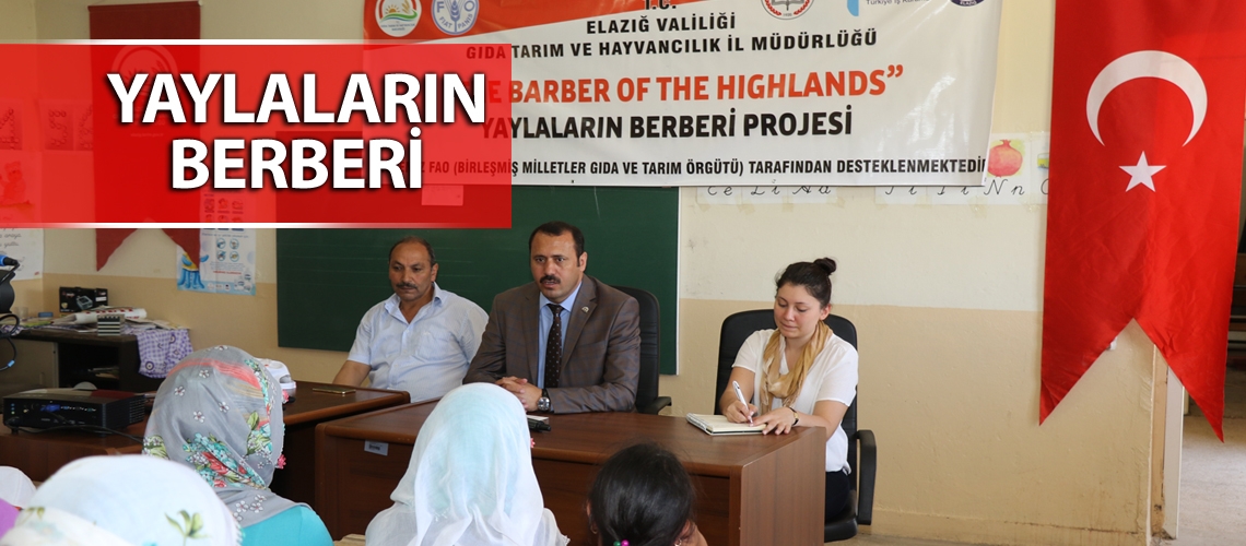 Koyun kırkım makineleri çiftçinin hizmetinde