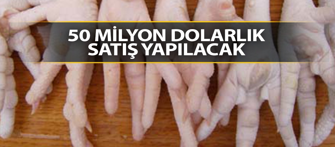 Piliç ayakları Çin’e ihraç ediliyor