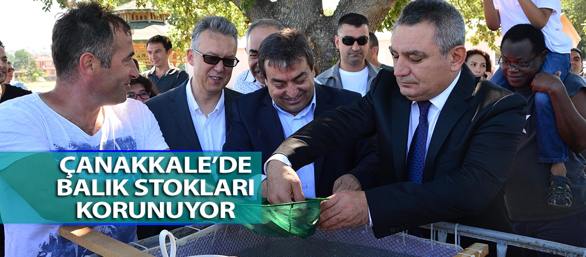 Yavru levrekler denizle buluştu