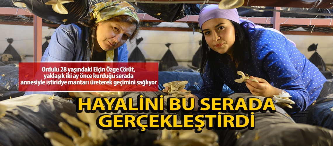 Anne kız istiridye mantarı yetiştiriyor