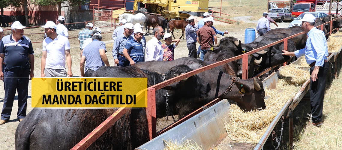 Yüzde 50 hibeyle manda