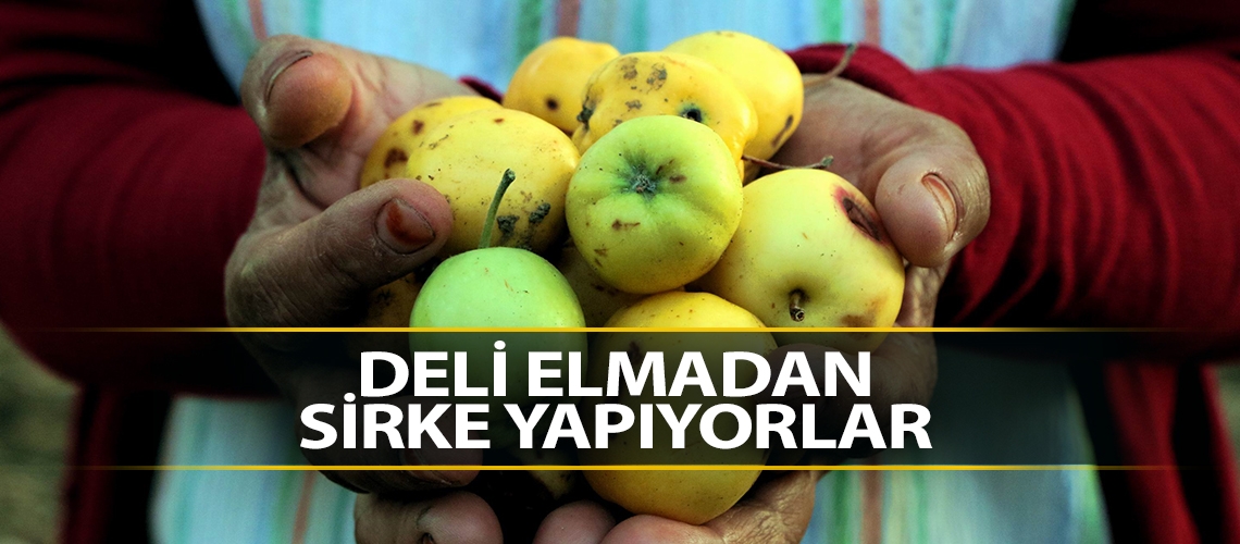 Deli elma sirkesi