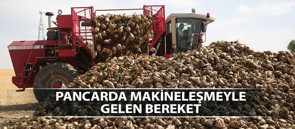 Kayseri’de pancar hasadı başladı